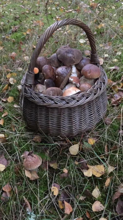 Pokoje Przy Warszawskiej Połczyn-Zdrój Buitenkant foto